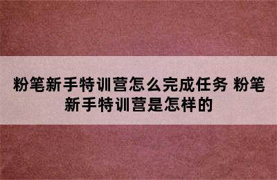 粉笔新手特训营怎么完成任务 粉笔新手特训营是怎样的